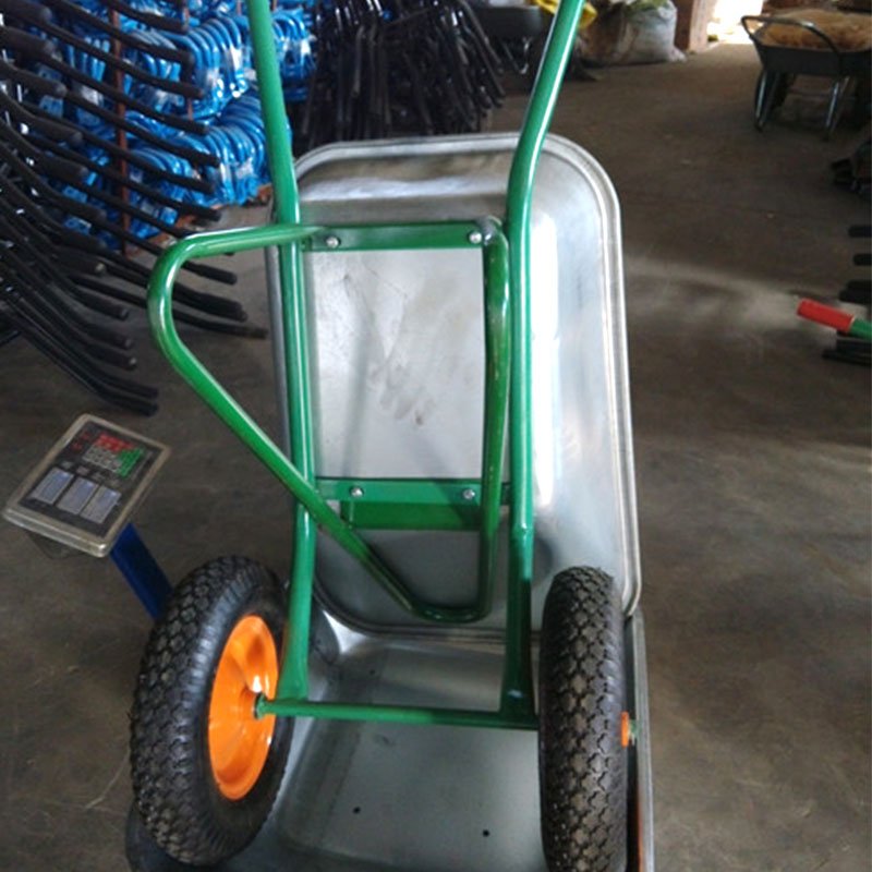 WB6428D