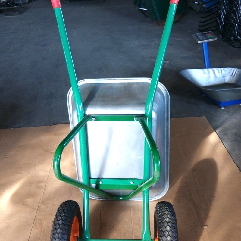 WB6428D