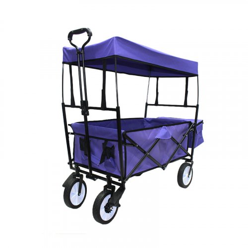 Beach Buggy-FW-002TB