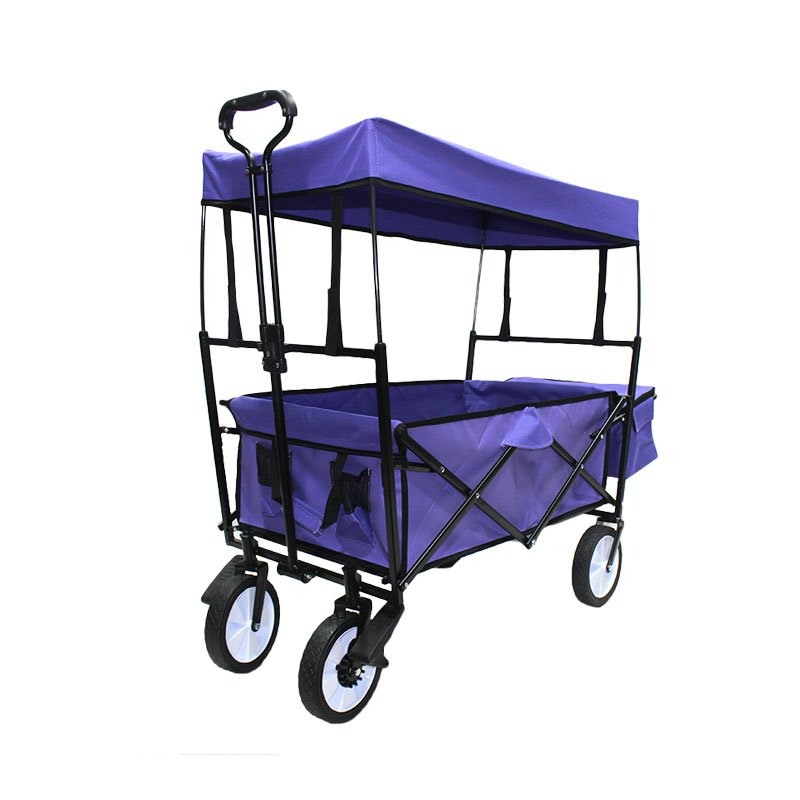 Beach Buggy-FW-002TB