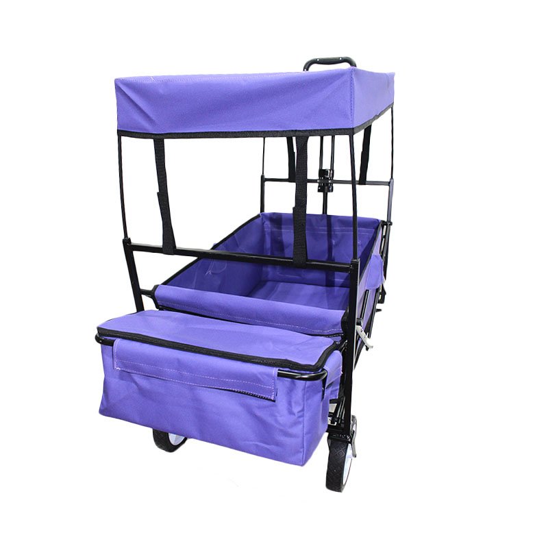 Beach Buggy-FW-002TB