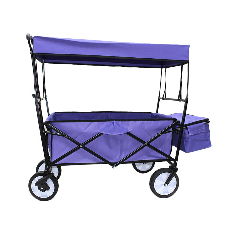 Beach Buggy-FW-002TB