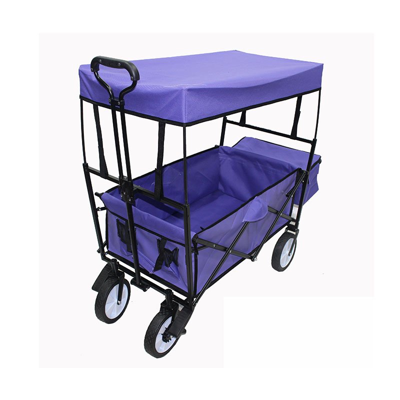 Beach Buggy-FW-002TB
